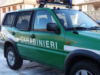 Pelago, incendi nei boschi: arrestato piromane seriale