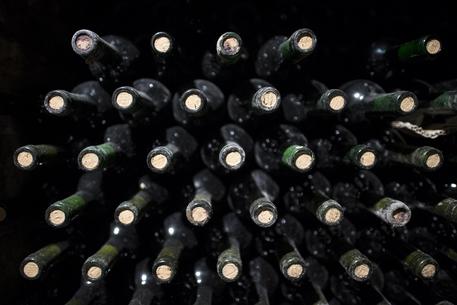 Cortona: maxi furto di vino alla Marchesi Antinori, colpo da 5 milioni. Rubate 30mila bottiglie